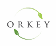 orkey.is